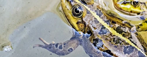 Konkurs już ruszył !!!