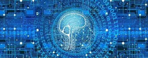 Multimedialna gra edukacyjna BioSmartFarm