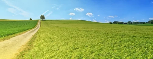 XIV edycja konkursu ,,Polska Wieś - dziedzictwo i przyszłość