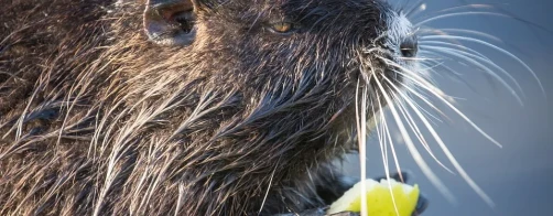 Rozstrzygnięcie konkursu