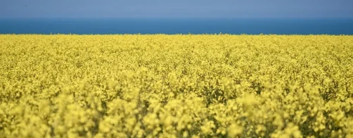 Pomoc dla Wyszniańskiego Kolegium LNAU w Rudkach na Ukrainie