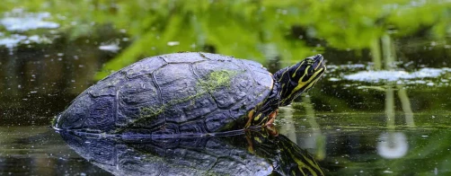 Harmonogram szkoleń