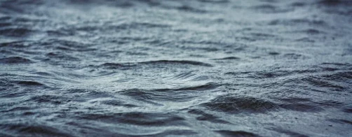 Ograniczenie zanieczyszczenia azotem pochodzenia rolniczego metodą poprawy jakości wód