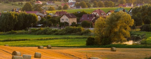 Zrównoważone rolnictwo w służbie bioróżnorodności