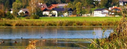 „Ograniczenie zanieczyszczenia azotem pochodzenia rolniczego metodą poprawy jakości wód” – nowa publikacja FDPA