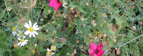 Rozstrzygnięcie konkursu \