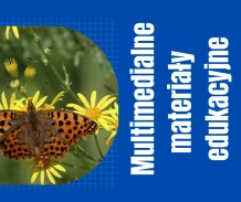 Różnorodność biologiczna w krajobrazie rolniczym