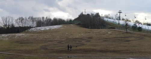 Flower meadows and wildflower islands