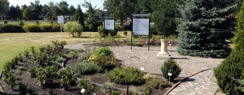 Development of the didactic-dendrological garden and the alpine garden