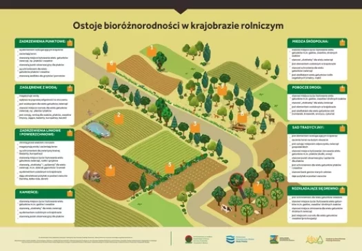 Ostoje bioróżnorodności w krajobrazie rolniczym