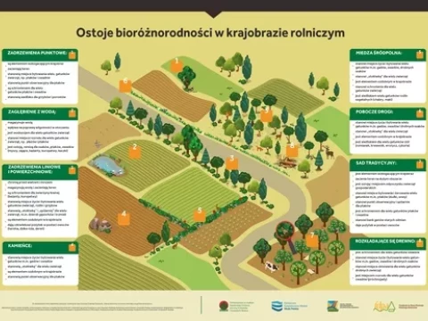 Ostoje bioróżnorodności w krajobrazie rolniczym