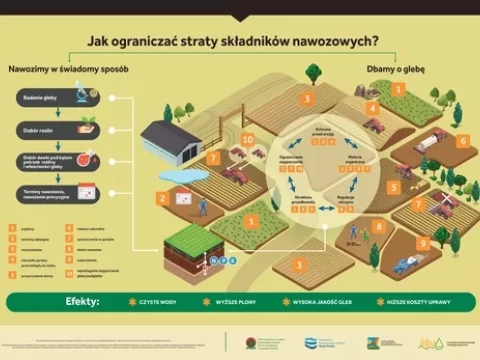 Jak ograniczać straty składników nawozowych ?