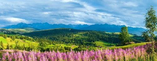 Zaproszenie - Konwersatorium \