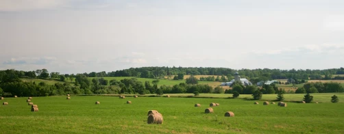 Zapraszamy do lektury nowych publikacji przygotowanych przez Fundację
