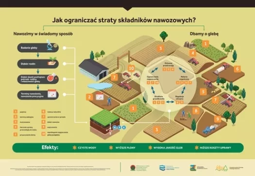 Jak ograniczać straty składników nawozowych ?