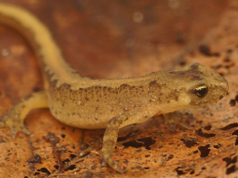 Najważniejsze informacje