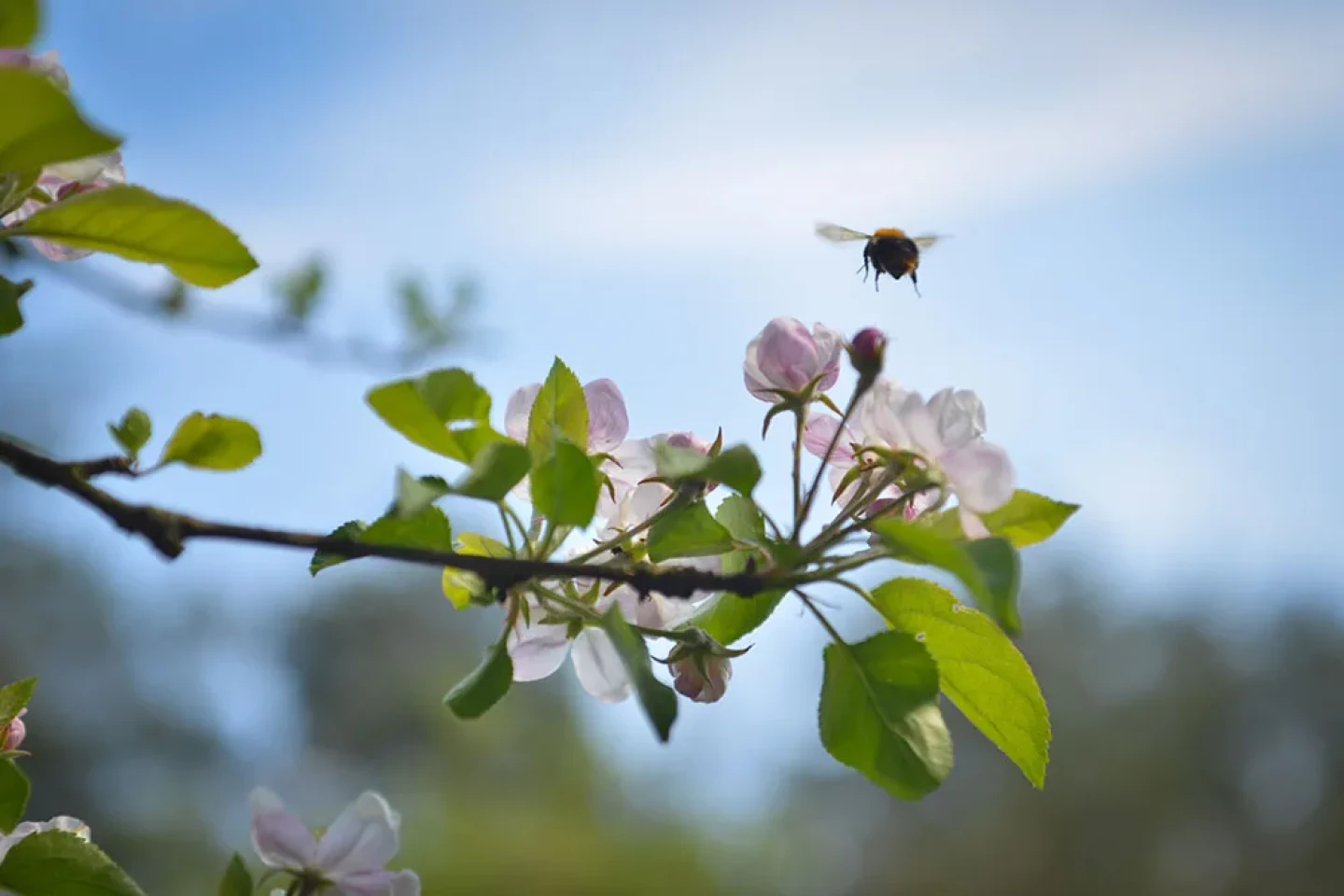 Program działań mający na celu zmniejszenie zanieczyszczenia wód azotanami pochodzącymi ze źródeł rolniczych oraz zapobieganie dalszemu zanieczyszczeniu