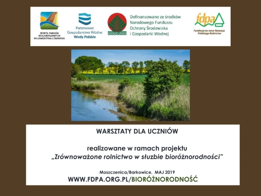 Różnorodność obszarów wiejskich oraz czynniki ją determinujące