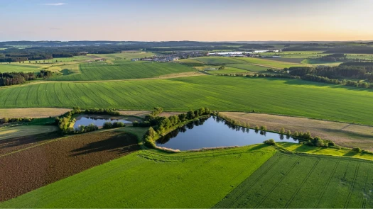 Różnorodność biologiczna w krajobrazie rolniczym
