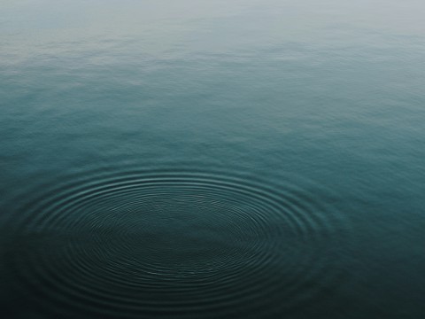 Adaptacja terenu edukacyjnego Ogólnopolskiego Centrum Adaptacji Rolnictwa (OCEAR) do zmiany klimatu