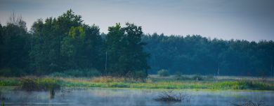 Wręczenie nagrody dla Przedsiębiorcy z klimatem