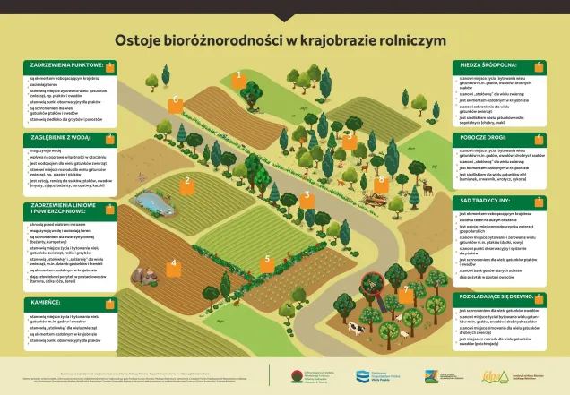 Ostoje bioróżnorodności w krajobrazie rolniczym