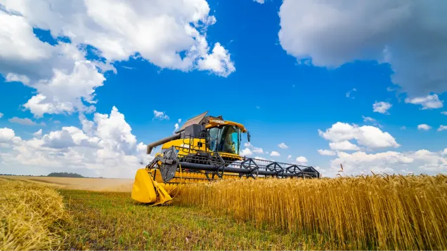 Rola agrotechniki w poprawie gospodarki wodnej w produkcji roślinnej