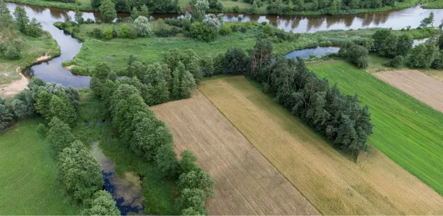 Rozwiązania oparte na przyrodzie, jako narzędzia w ograniczaniu zanieczyszczeń rolniczych do wód powierzchniowych i gruntowych